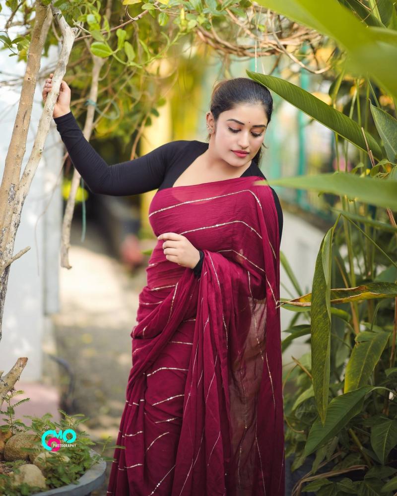 anumol-looking-glamorous-in-saree